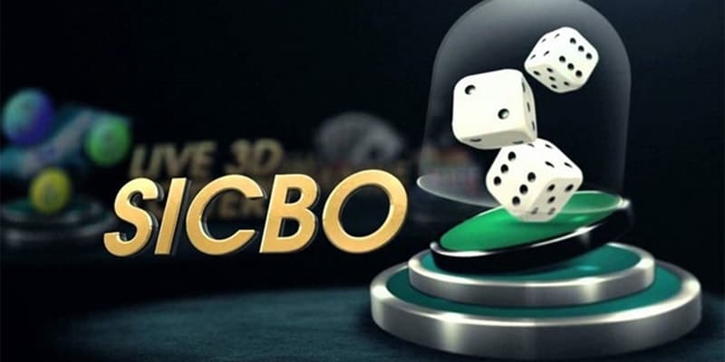 Chiến thuật chơi Sicbo không phải ai cũng biết tại Winbox